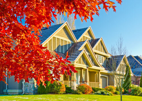 Sandy Sandy Real Estate - Alan Fleischman, Owner